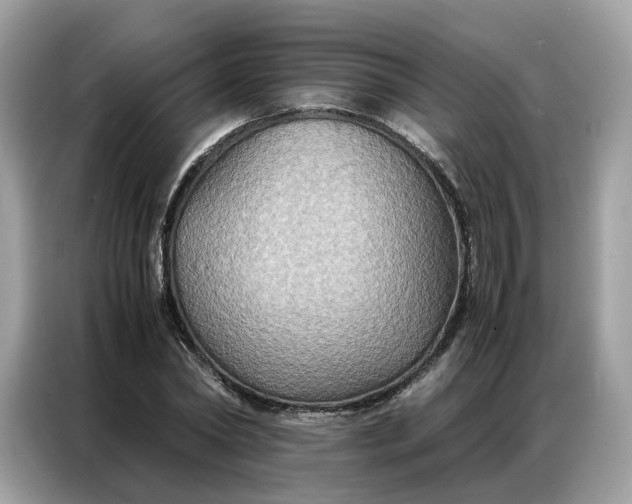 X0000086790782200704271829