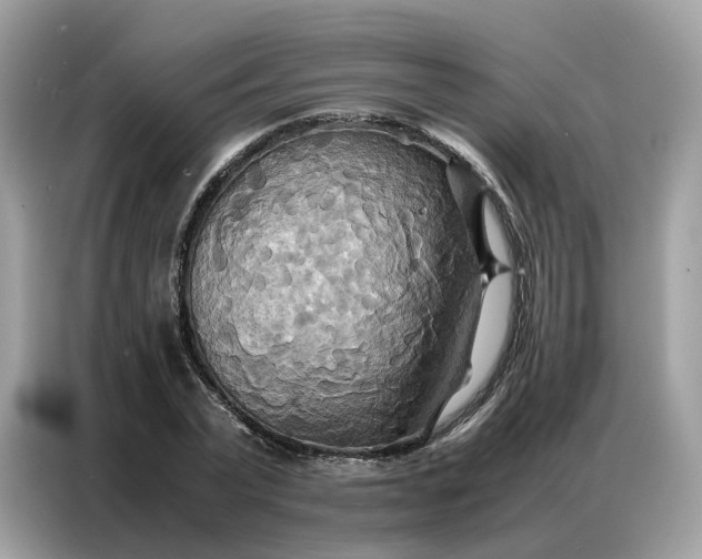 X0000086790783200704271829