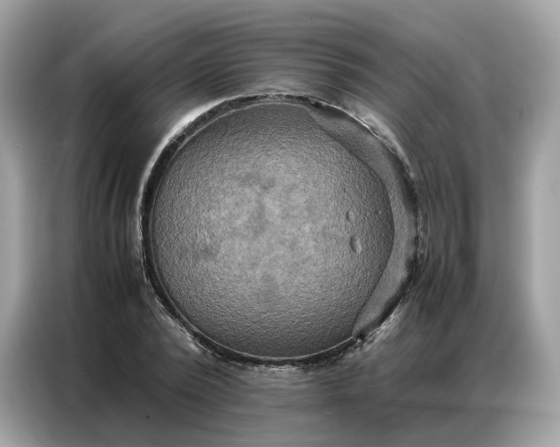 X0000086790784200704271829