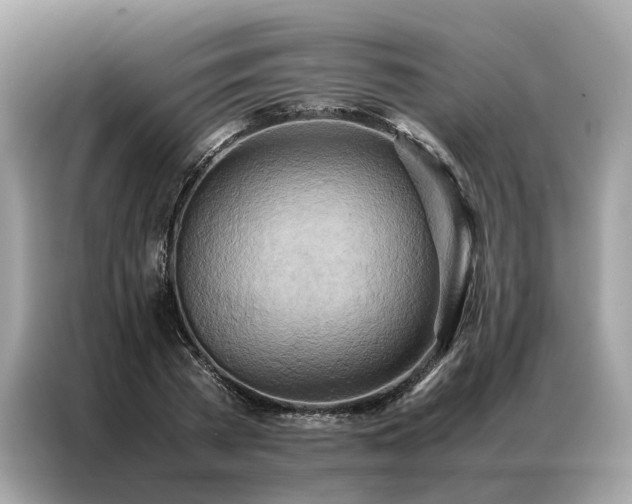 X0000086790785200704271829