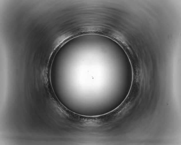 X0000086790786200704271829