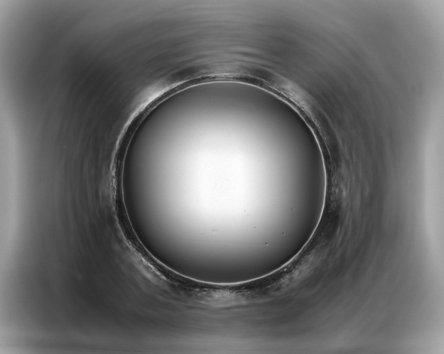 X0000086790787200704271829
