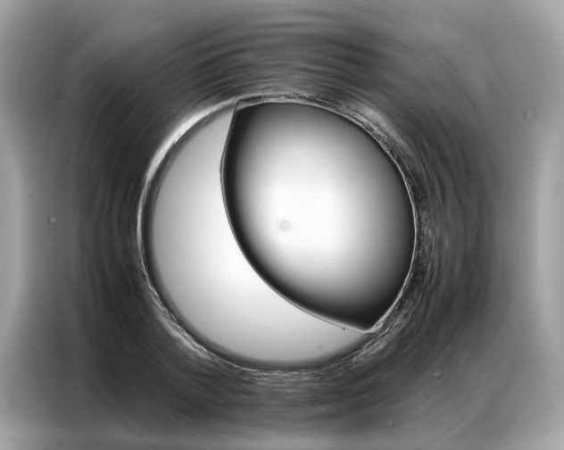 X0000086790788200704271829