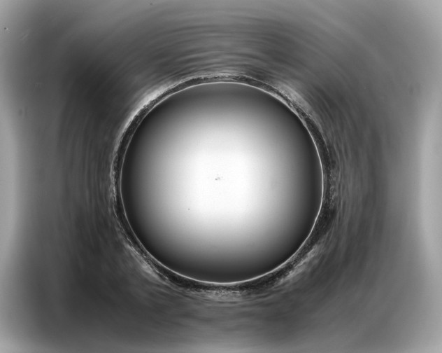 X0000086790789200704271829