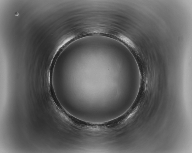 X0000086790790200704271829