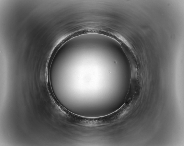 X0000086790791200704271829