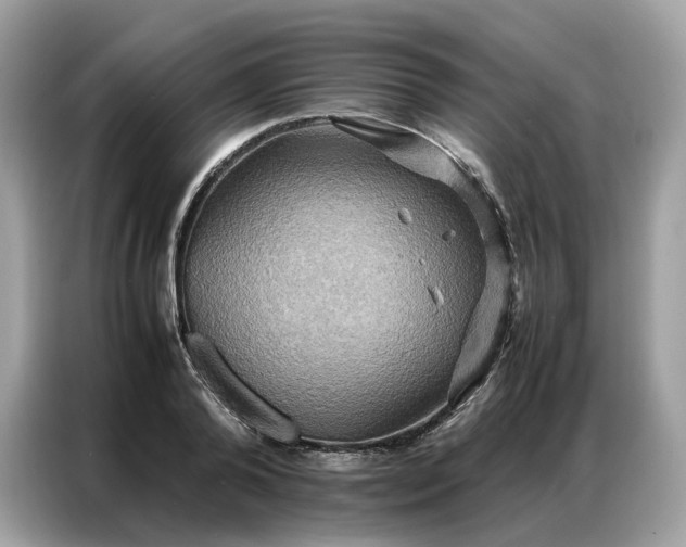 X0000086790792200704271829