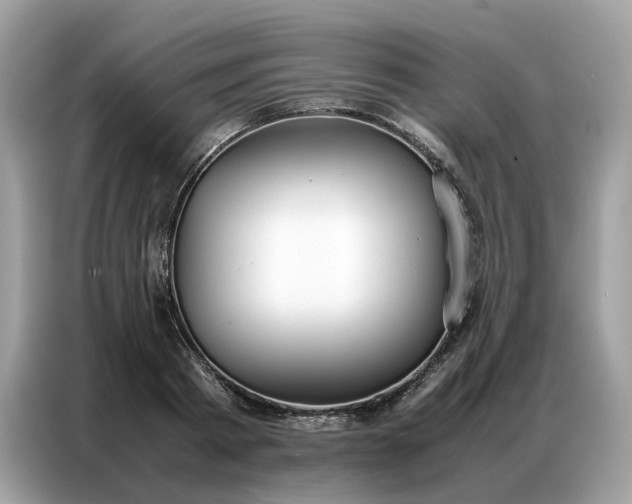 X0000086790793200704271829