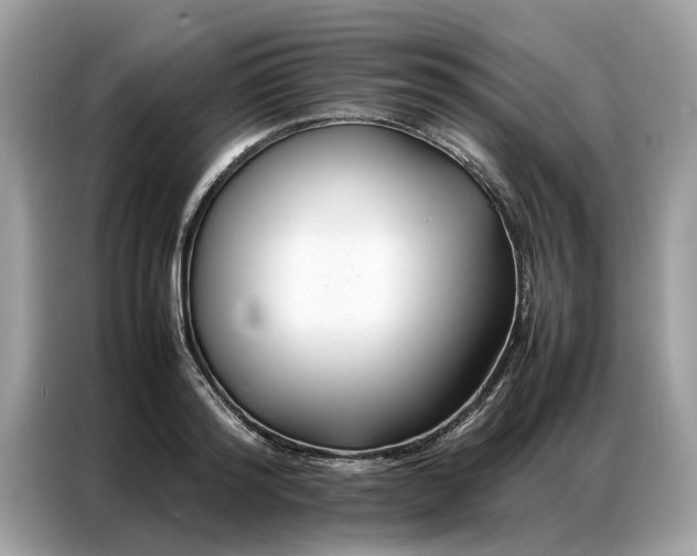 X0000086790796200704271829