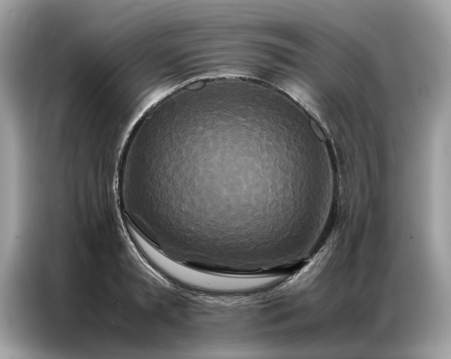 X0000086790797200704271829