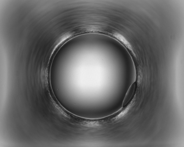 X0000086790798200704271829