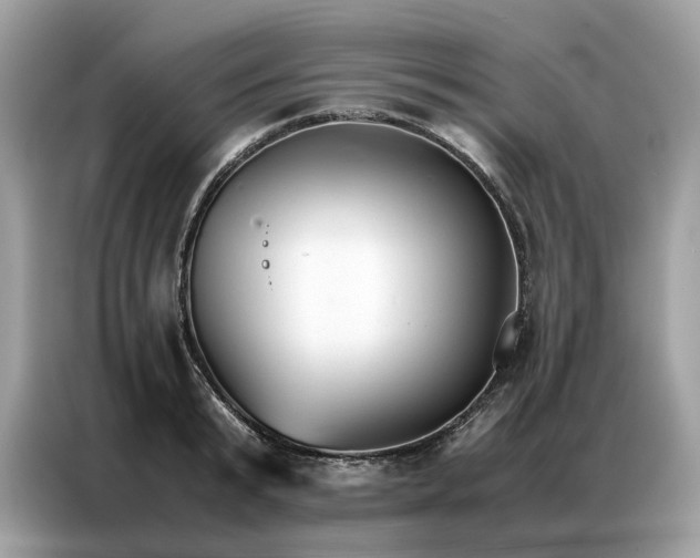 X0000086790799200704271829