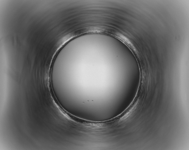 X0000086790802200704271829