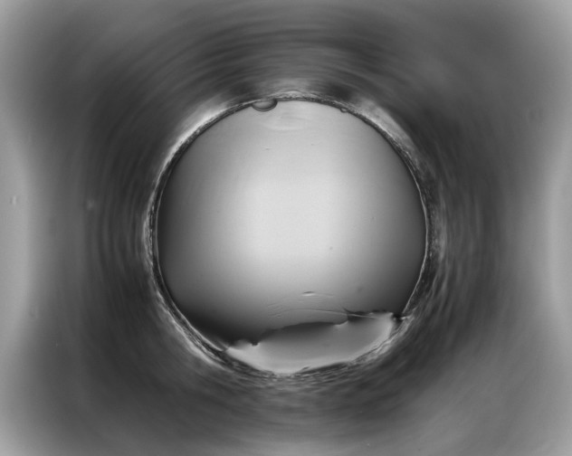 X0000086790806200704271829