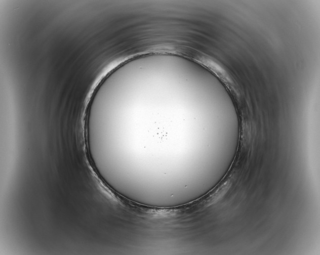 X0000086790808200704271829