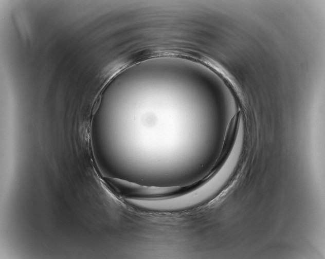 X0000086790809200704271829