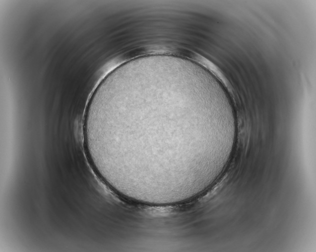 X0000086790810200704271829