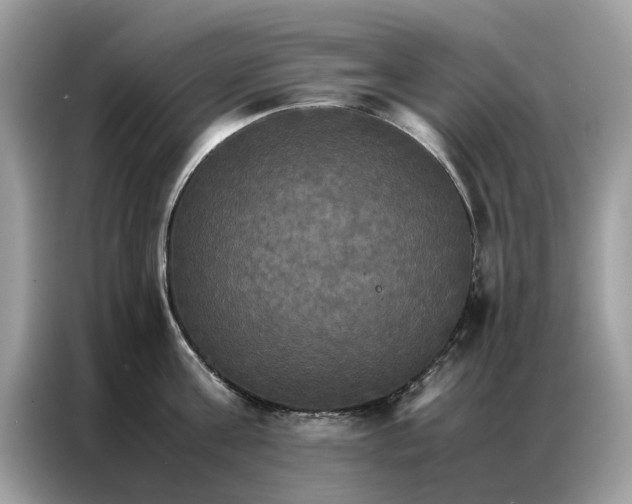 X0000086790811200704271829