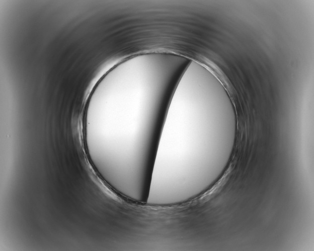 X0000086790812200704271829