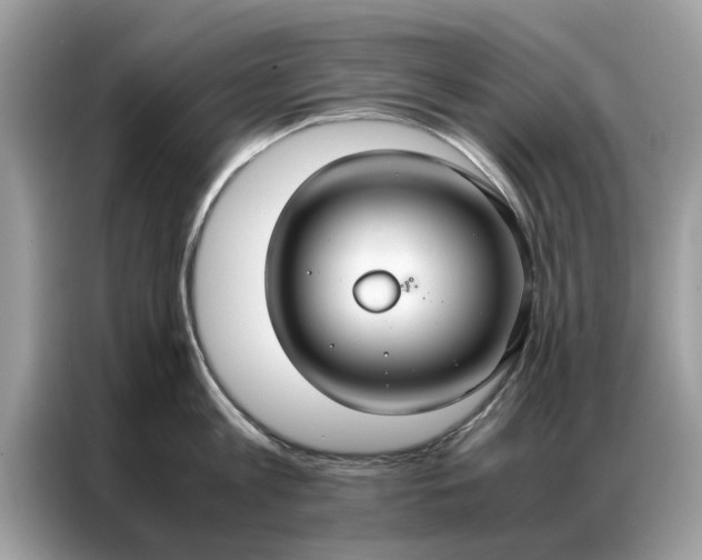 X0000086790813200704271829