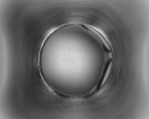 X0000086790815200704271829