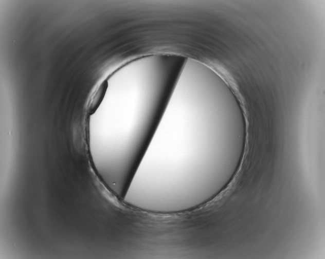 X0000086790816200704271829