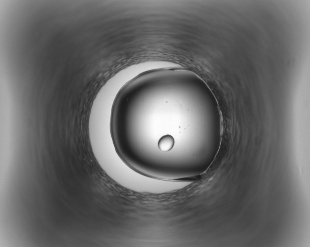 X0000086790818200704271828