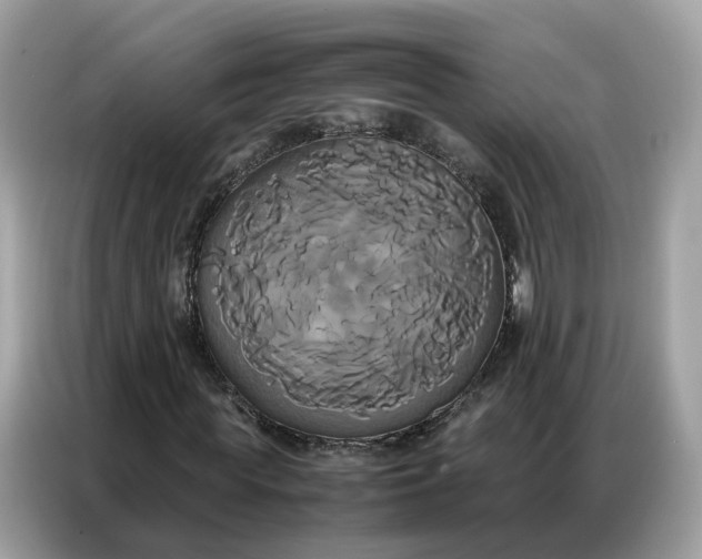 X0000086790819200704271828