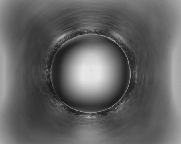 X0000086790822200704271828