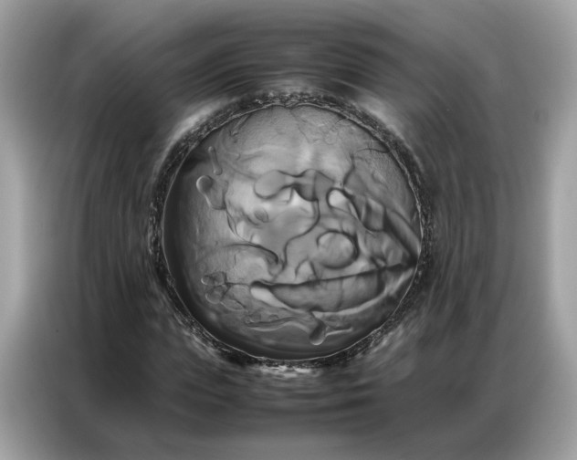 X0000086790823200704271828