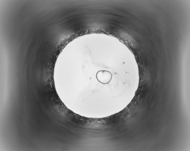 X0000086790824200704271828