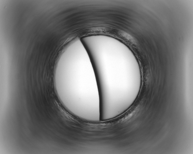 X0000086790825200704271828