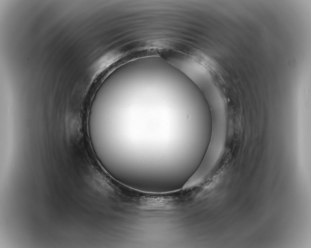 X0000086790826200704271828