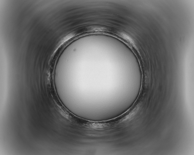 X0000086790827200704271828