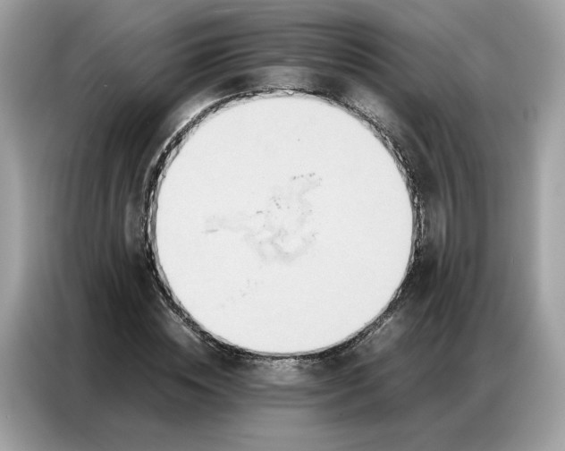 X0000086790828200704271828