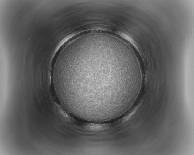 X0000086790829200704271828
