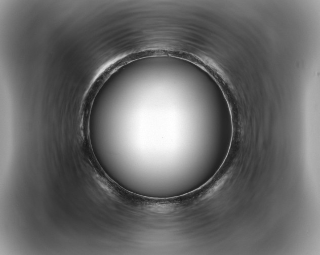 X0000086790830200704271828