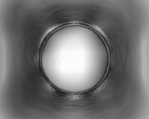 X0000086790831200704271828