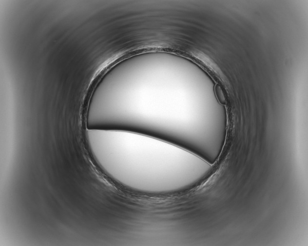X0000086790834200704271828