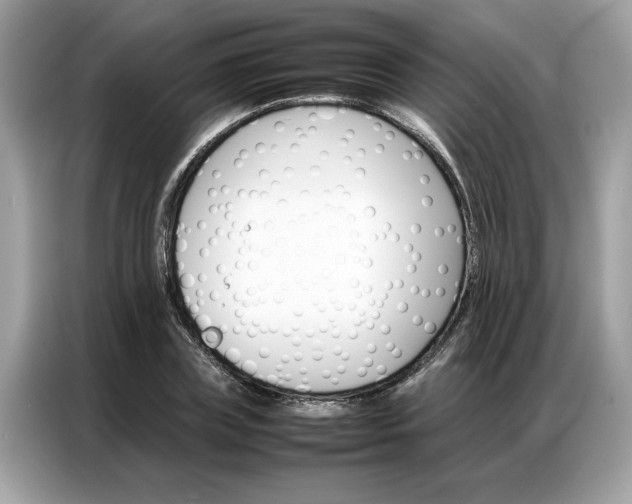 X0000086790835200704271828