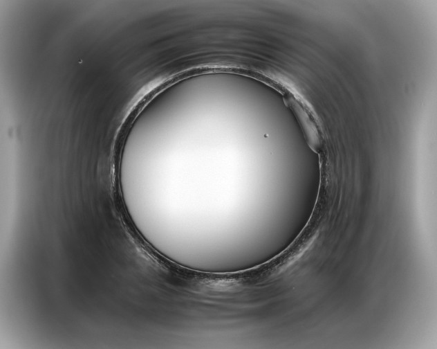 X0000086790837200704271828
