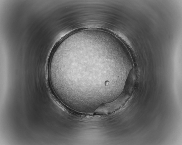 X0000086790840200704271829