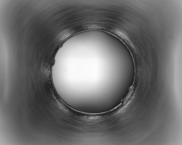 X0000086790841200704271829