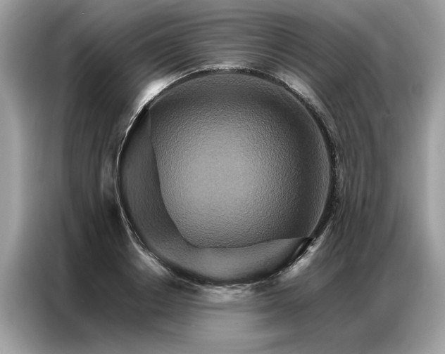 X0000086790842200704271829