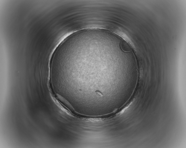 X0000086790844200704271829