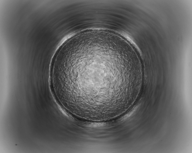 X0000086790845200704271829