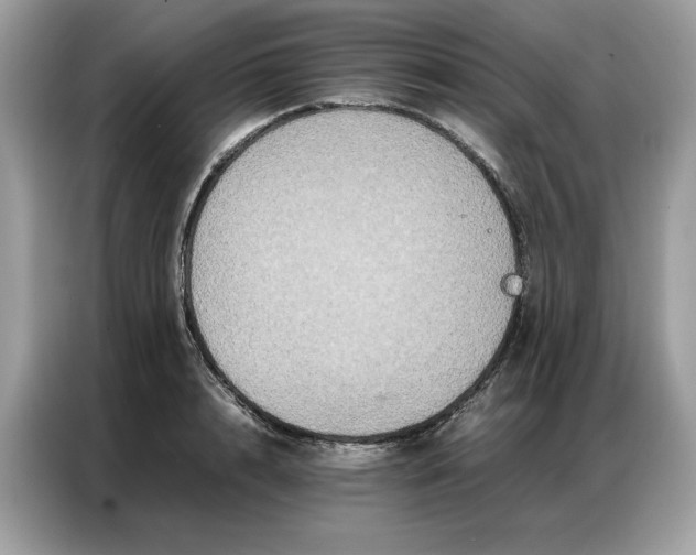 X0000086790848200704271829