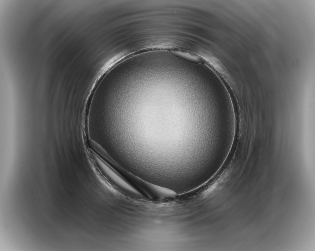 X0000086790850200704271829