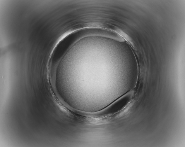 X0000086790854200704271829