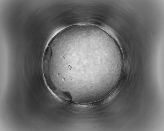 X0000086790855200704271829